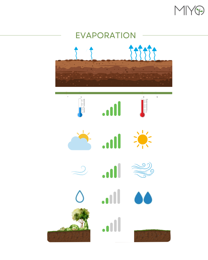 Einflussfaktoren für Evaporation