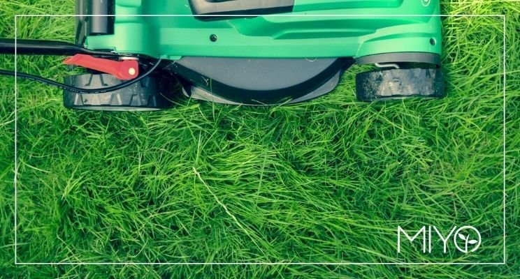 Tipps von MIYO zur Rasenpflege im Sommer